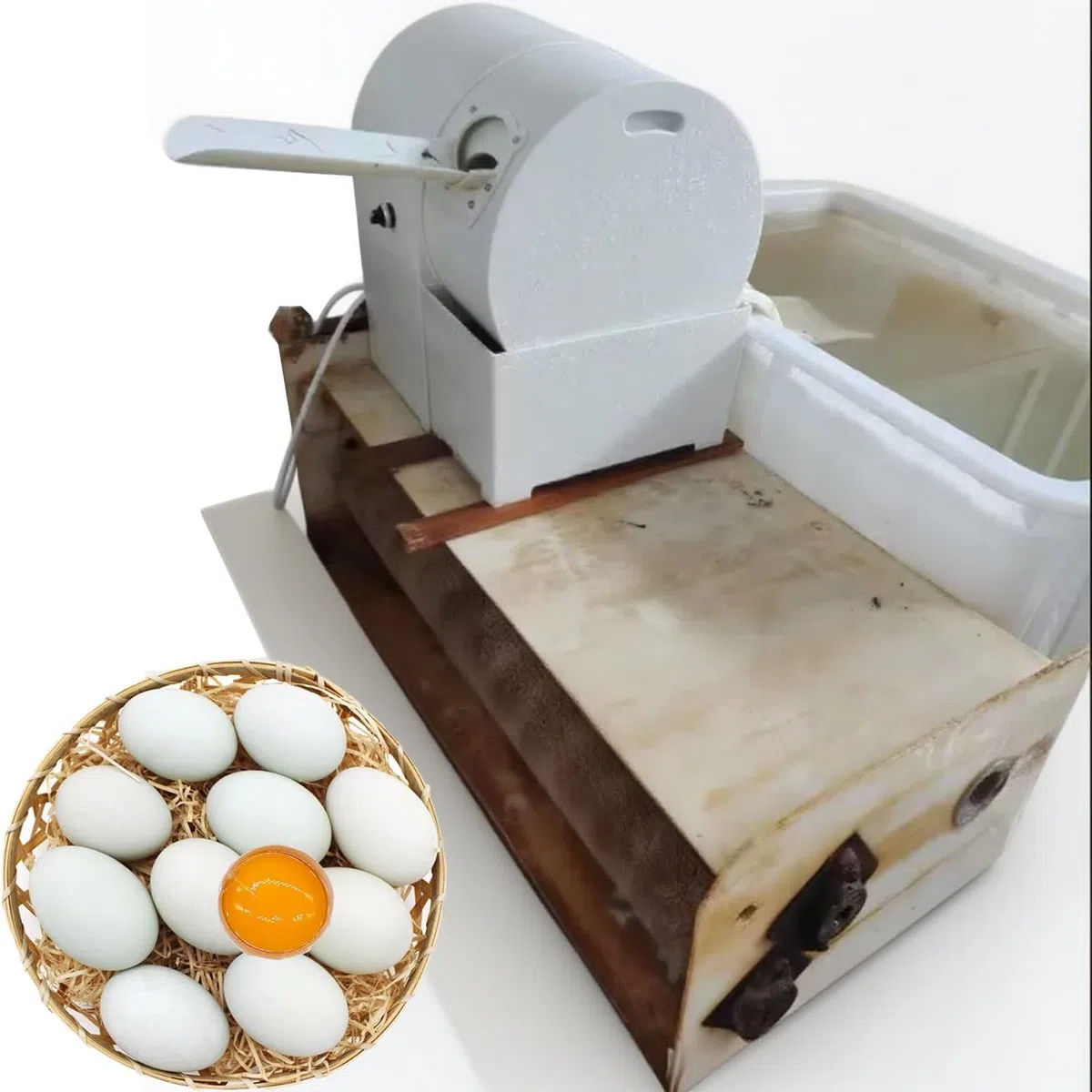 Equipo de lavado automático de huevos, limpiador eléctrico de doble estilo para huevos de pollo, pato y ganso, ideal para granjas y restaurantes